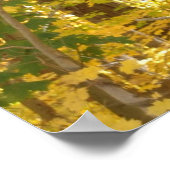 Gold Foliage Poster (Hoek)