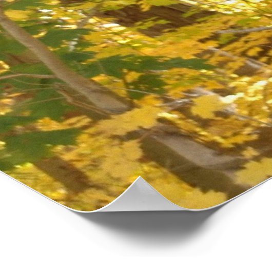 Gold Foliage Poster (Hoek)