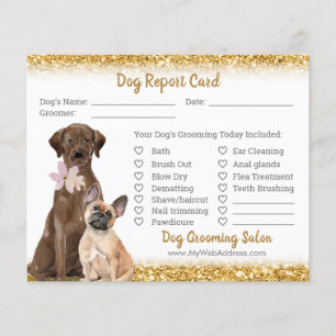Gold Glitter Dog Grooming Report Kaart Flyer