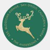 Gold Glitter Reindeer Green Return Address Holiday Ronde Sticker (Voorkant)