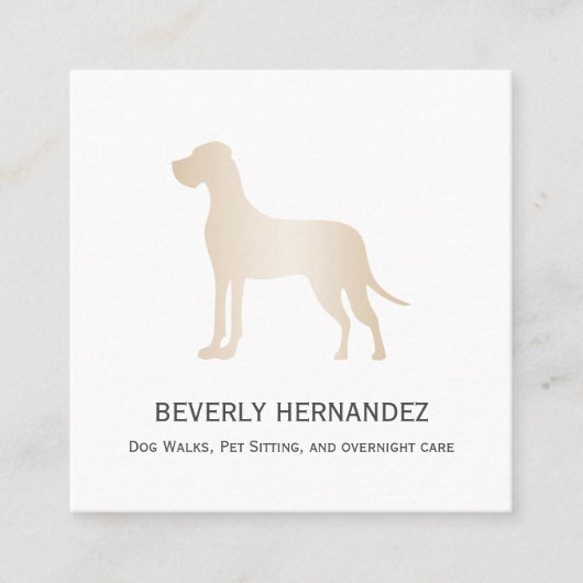 Gold Great Dane Dog Walker Trainer Puppy zit vol Vierkante Visitekaartje (Voorkant)