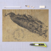 Gold Grunge Peacock Vogel Frans Script Decoupage Tissuepapier (Craft)