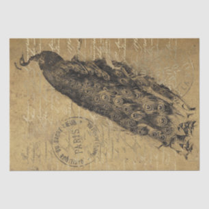 Gold Grunge Peacock Vogel Frans Script Decoupage Tissuepapier