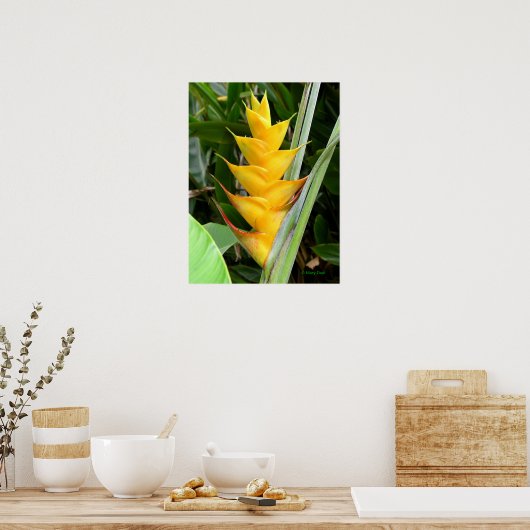 Gold Heliconia Poster (Keuken)