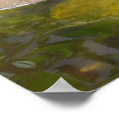 Gold Koi in Lily-vijver Poster (Hoek)