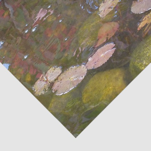 Gold Koi in Lily-vijver Tissuepapier (Detail)