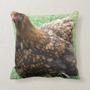 Gold Laced Orpington Cushion, kip, kip, hom, hals, Kussen