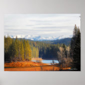 Gold Land Poster (Voorkant)