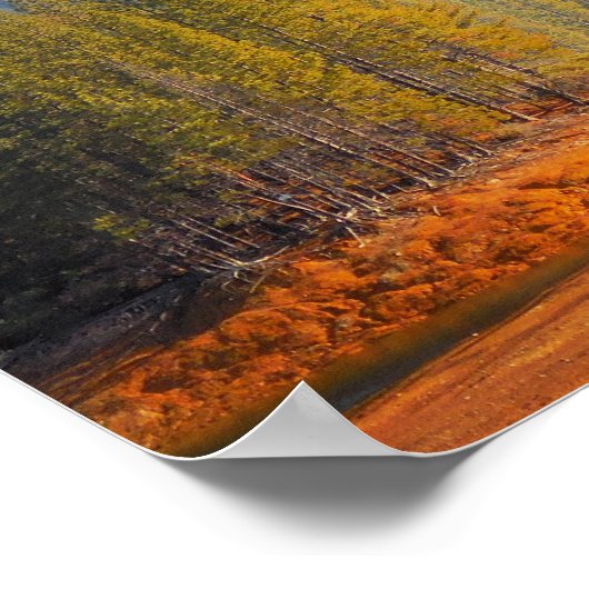 Gold Land Poster (Hoek)