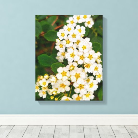 Gold-leaf Spirea Canvas Afdruk (Insitu (Houten vloer))