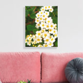 Gold-leaf Spirea Canvas Afdruk (Insitu (Woonkamer))