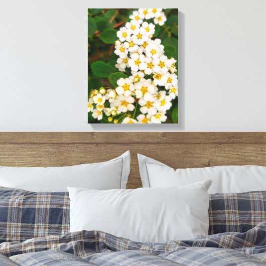 Gold-leaf Spirea Canvas Afdruk (Insitu (Slaapkamer))