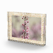 Gold Leopard print - Aangepaste foto (Rechts)