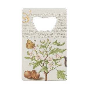 Gold Letter S Insect, English Hawthorn Creditkaart Flessenopener