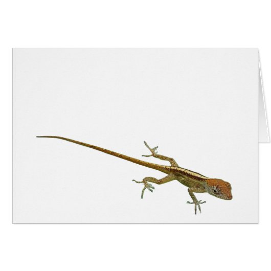 Gold Lizard Wenskaart (Voorkant Horizontaal)