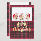 Gold Merry Red Black Buffalo Pset foto (Voorkant / Achterkant)