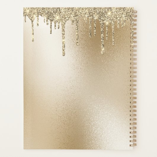 Gold Metallic Glitter Drip Monogram Elegant Planner (Achterkant)