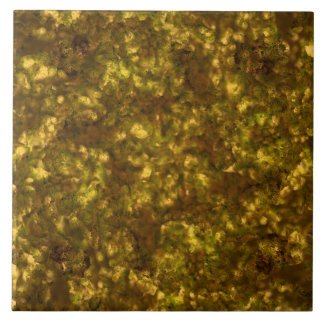 Gold Metallic Smokey Marmer Tegeltje