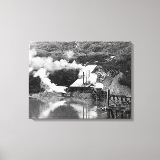Gold Mine in Valdez, Alaska-foto Canvas Afdruk (Voorkant)