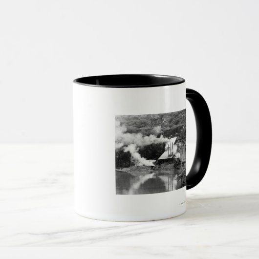 Gold Mine in Valdez, Alaska-foto Mok (Voorkant rechts)