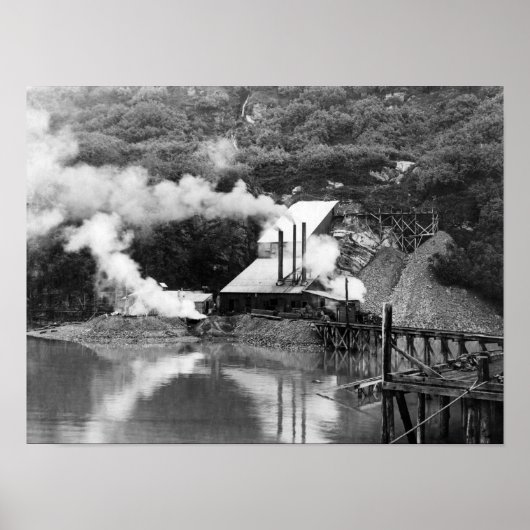 Gold Mine in Valdez, Alaska-foto Poster (Voorkant)