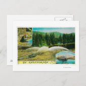 Gold Mining in California StateState Briefkaart (Voorkant / Achterkant)