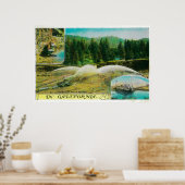 Gold Mining in California StateState Poster (Keuken)