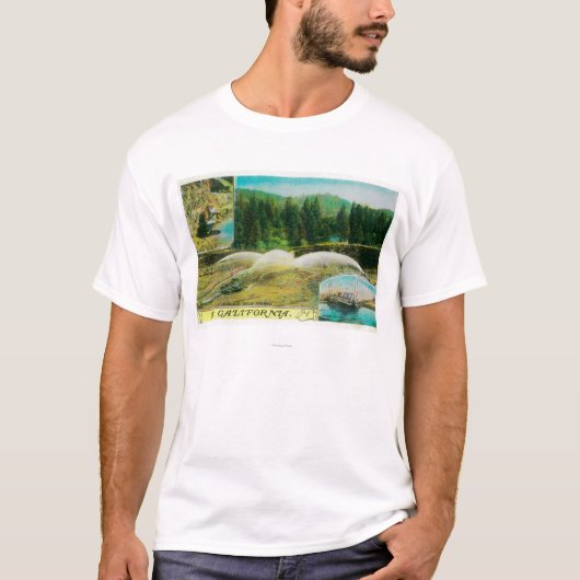 Gold Mining in California StateState T-shirt (Voorkant)