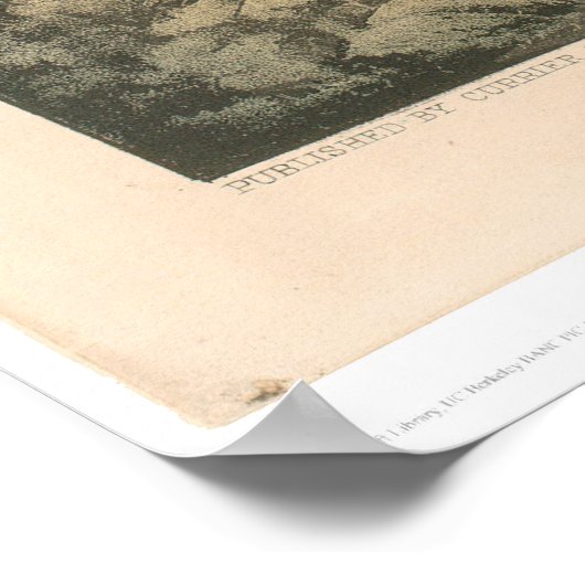 Gold Mining in Californië (0636A) Poster (Hoek)