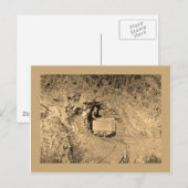 Gold panning art met shirten briefkaart (Voorkant / Achterkant)