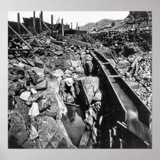 GOLD PANNING IN CALIFORNIA c. 1866 Poster (Voorkant)