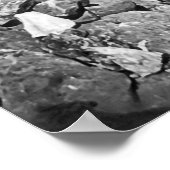 GOLD PANNING IN CALIFORNIA c. 1866 Poster (Hoek)