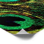 Gold Peacock Feather Pattern Poster (Hoek)