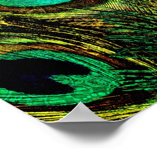 Gold Peacock Feather Pattern Poster (Hoek)