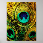 Gold Peacock Feather Pattern Poster (Voorkant)