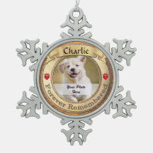 Gold Pet Memorial - Forever herdacht