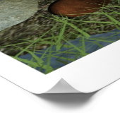 Gold Prospector 3D Art Panning op zoek naar kleure Poster (Hoek)