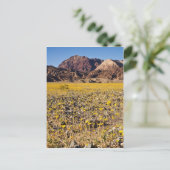 Gold Rush Briefkaart (Staand voorkant)