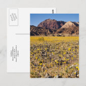 Gold Rush Briefkaart (Voorkant / Achterkant)