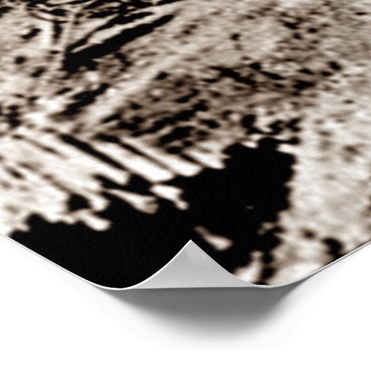 Gold Rush Deadwood South Dakota 1876 Sepia Poster (Hoek)