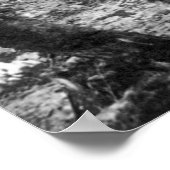 Gold Rush in Alaska, jaren '90 Poster (Hoek)