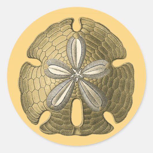 Gold Sand Dollar Ronde Sticker (Voorkant)