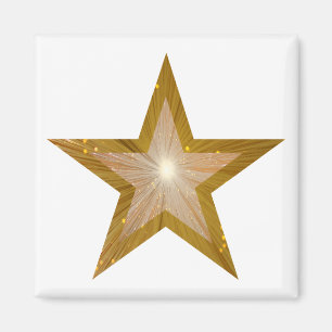 Gold Star friet magneet wit
