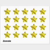 Gold Star Ster Sticker (Vel)