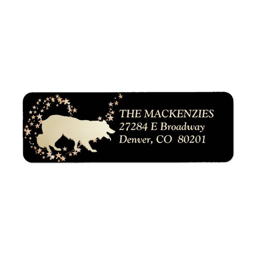 Gold Star Swirl Border Collie Etiket (Voorkant)