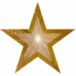 Gold Star 'two tone' kerstversiering Fotobeeldje Ornament<br><div class="desc">Modern design met een tweekleurige glanzende, sprankelende gouden en witte ster op een gloeiende gouden achtergrond. Ornament met een goudwit aanpasbaar ontwerp voor u om te personaliseren met uw eigen tekst, afbeeldingen en ideeën. Ook verkrijgbaar als sculptuur, magneet, pin of sleutelhanger. Creëer door Jess Perry met originele foto's en digitale...</div>