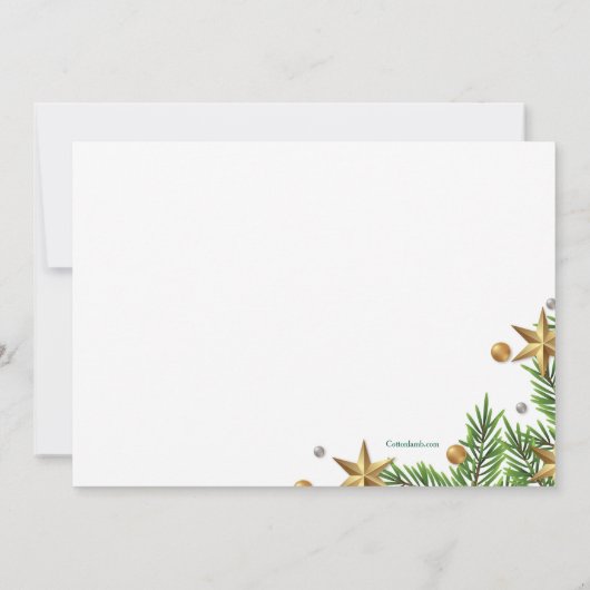 Gold Stars Best Gift Ever Birth Announcement  Aankondiging (Achterkant)