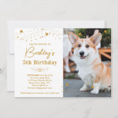Gold Stars Birthday Personalized Pet Photo Dog Kaart (Voorkant)
