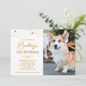 Gold Stars Birthday Personalized Pet Photo Dog Kaart (Staand voorkant)