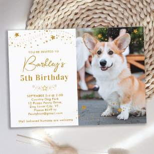 Gold Stars Birthday Personalized Pet Photo Dog Kaart